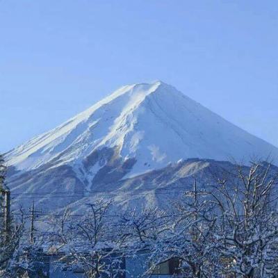 希望号僵尸冲突破解版下载
